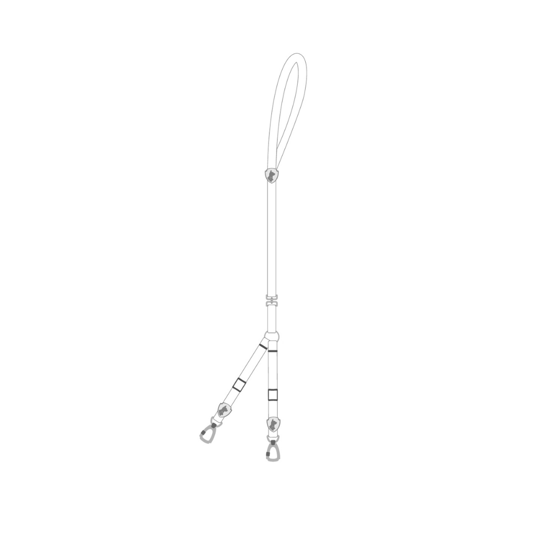 Leashes - Double