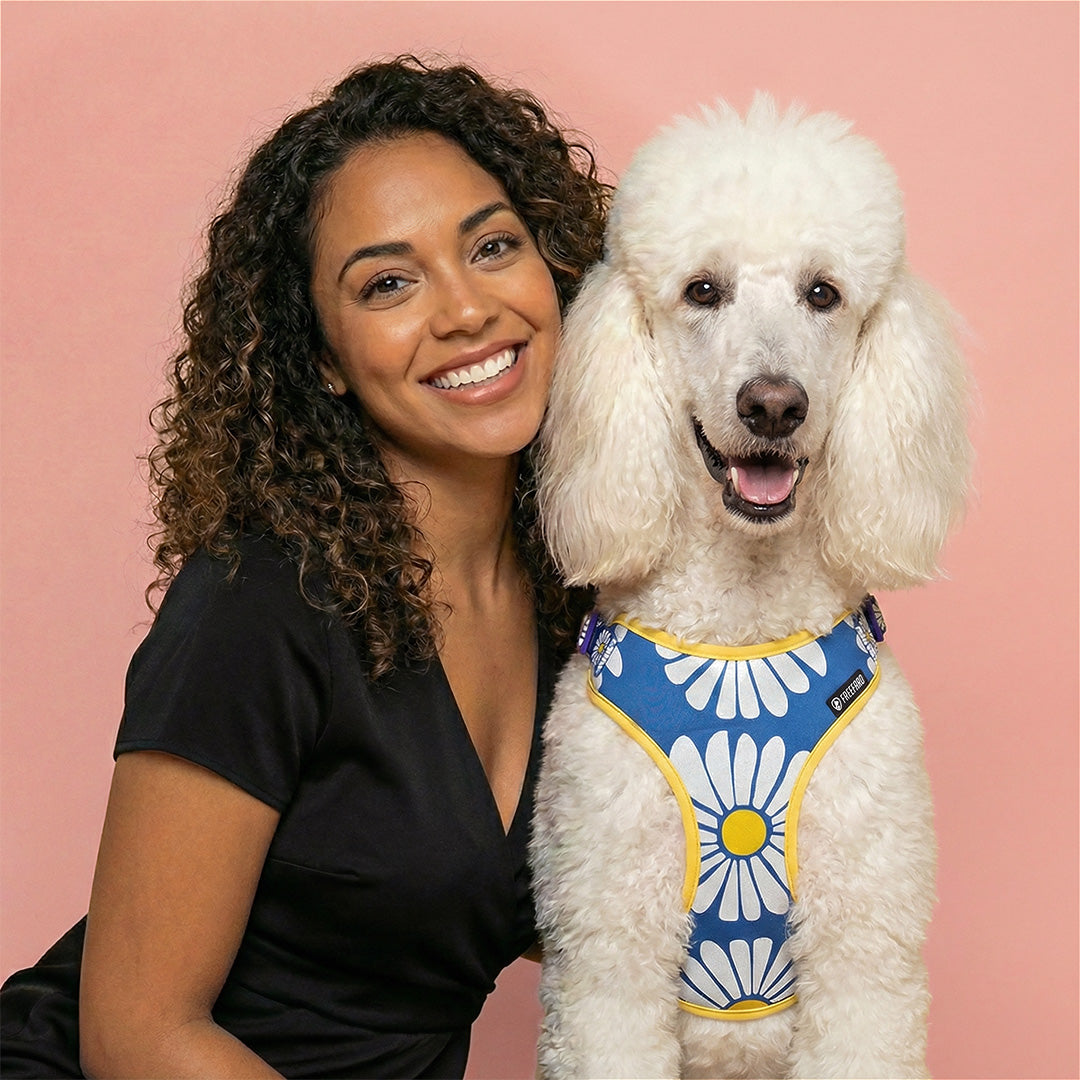 Harness, leash and collar in the same print