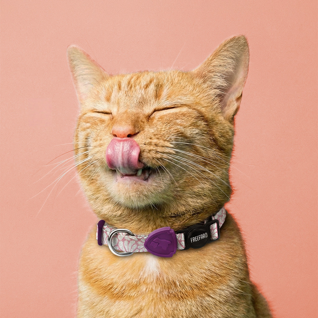 FreeFaro Cat Collar — Groovy Collection