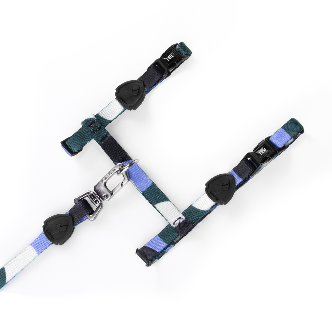 FreeFaro Harness with Leash for Cats — Guanabara Collection