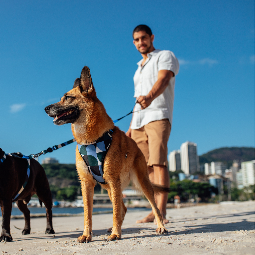 Arnes de Ar Com FreeFaro — Coleção Arpoador