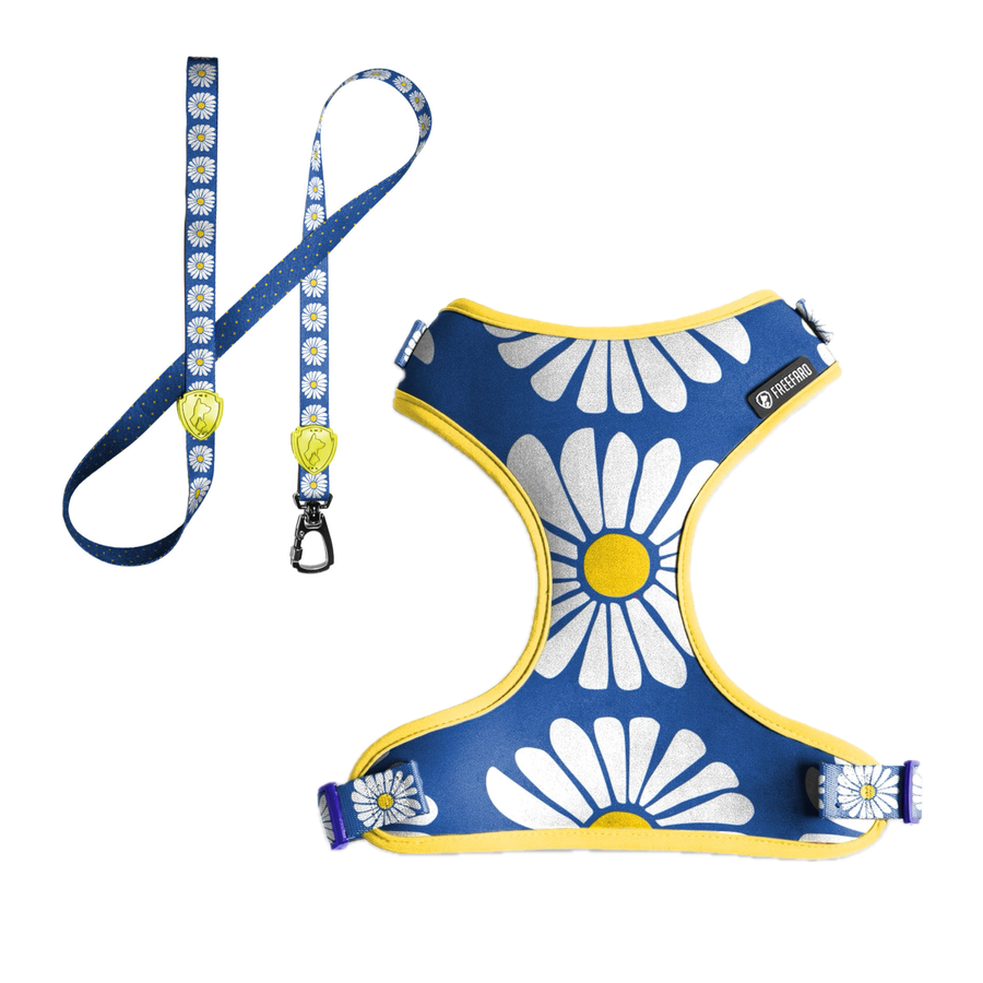 Margarida Air Walk Set