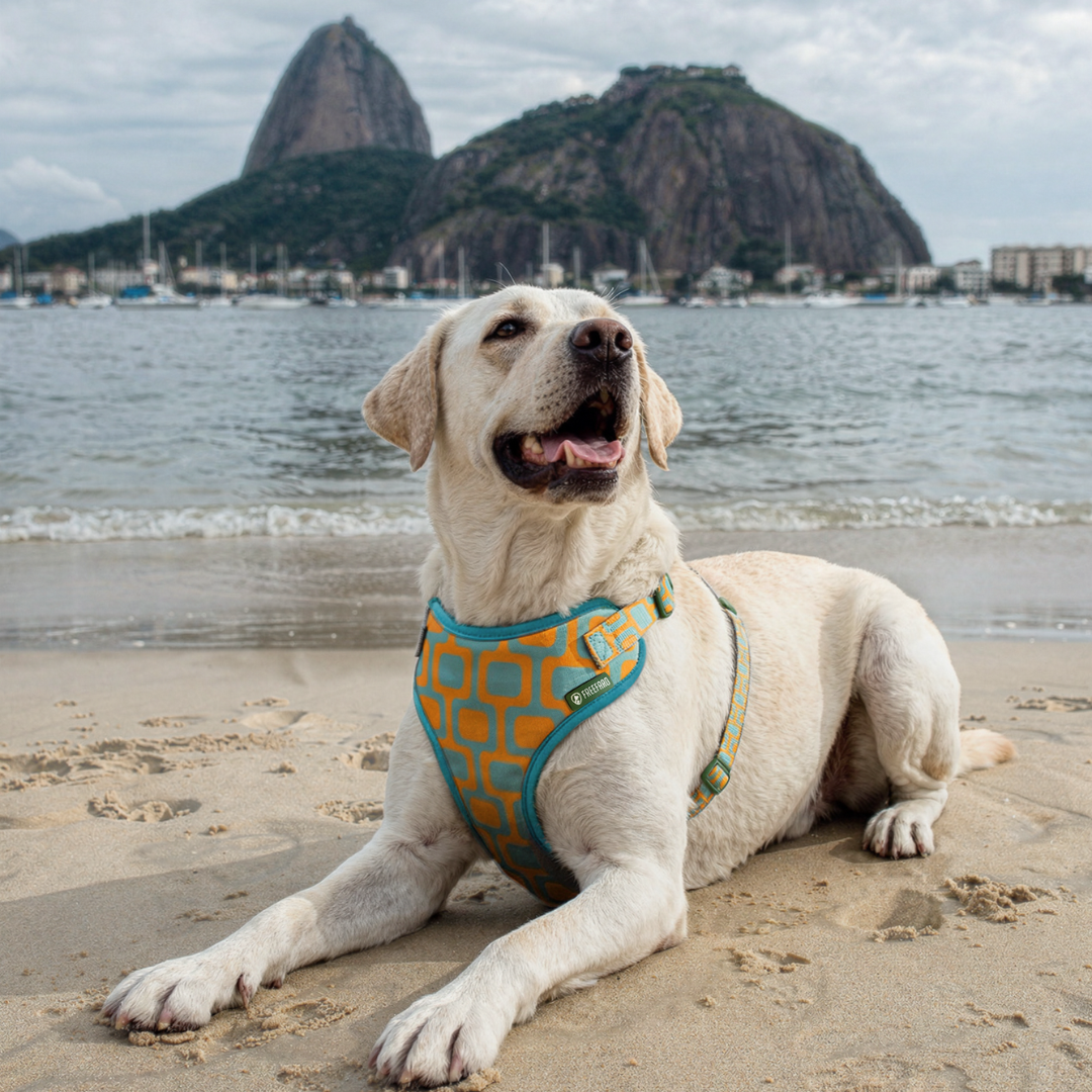 FreeFaro Air Harness — Ipanema Collection