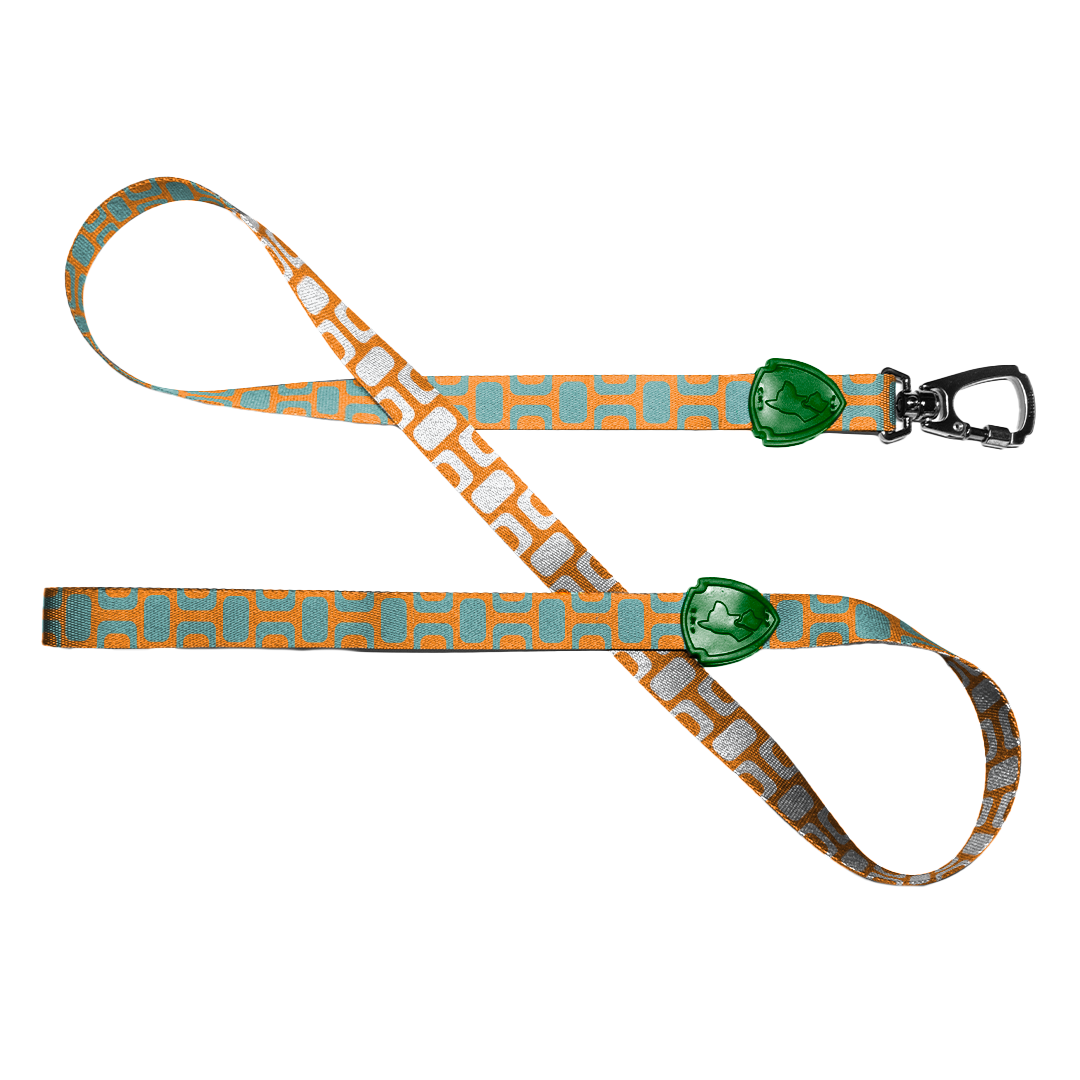 FreeFaro Leash  — Ipanema Collection