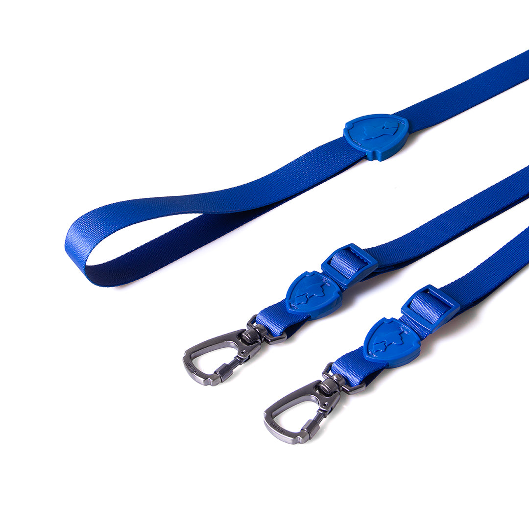 FreeFaro Leash Double  — Total Blue