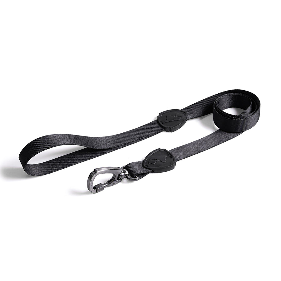 Darkest Dog Leash