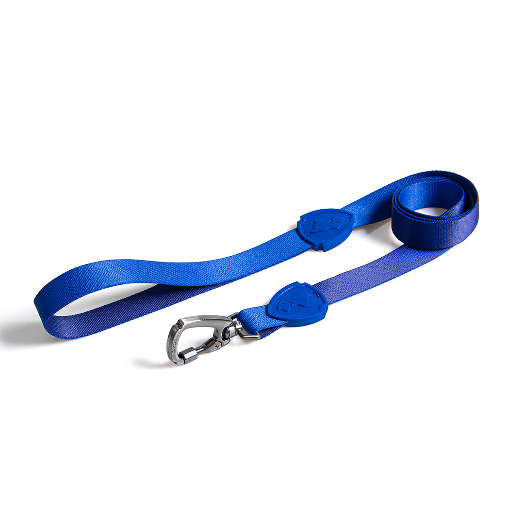 FreeFaro Leash  — Total Blue Collection