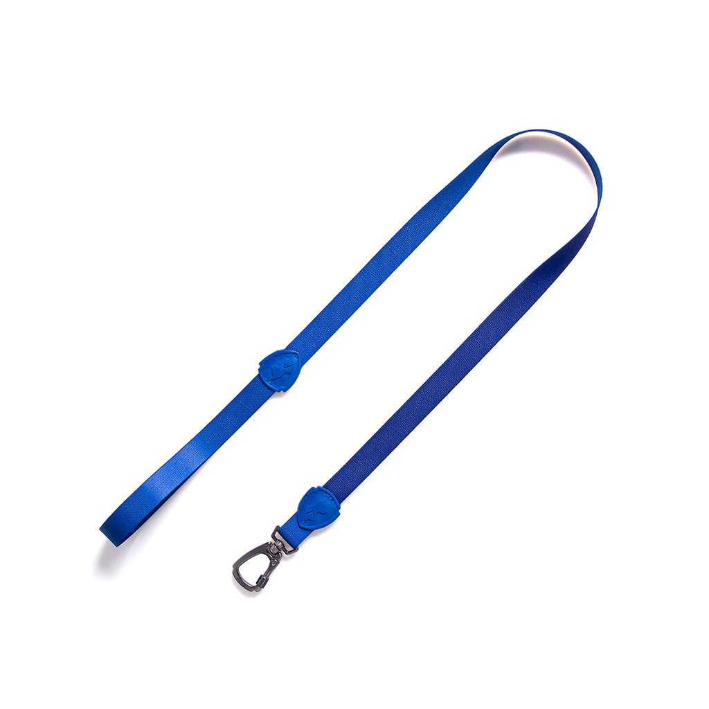 FreeFaro Leash  — Total Blue Collection