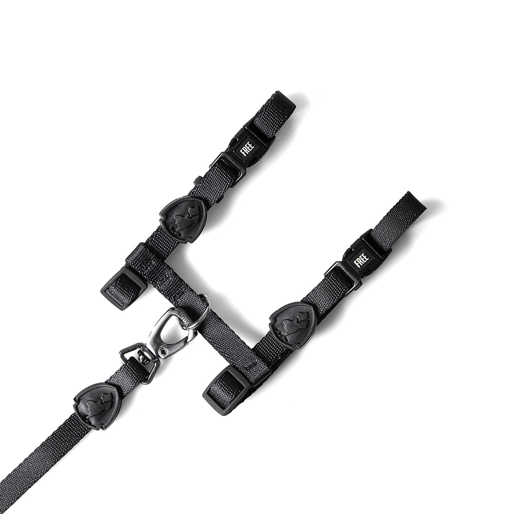 FreeFaro Harness with Leash for Cats — Darkest Collection