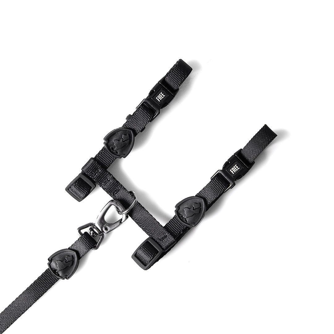 FreeFaro Harness with Leash for Cats — Darkest Collection