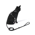 FreeFaro Harness with Leash for Cats — Darkest Collection