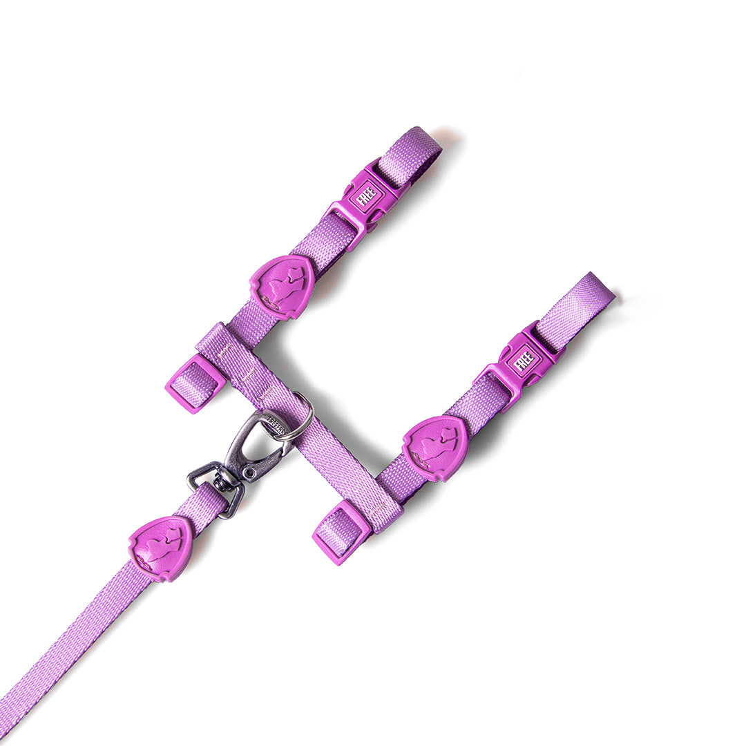 FreeFaro Harness with Leash for Cats — Lilac Collection