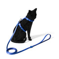 FreeFaro Harness with Leash for Cats — Total Blue Collection