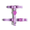 FreeFaro H Harness — Lilac Collection