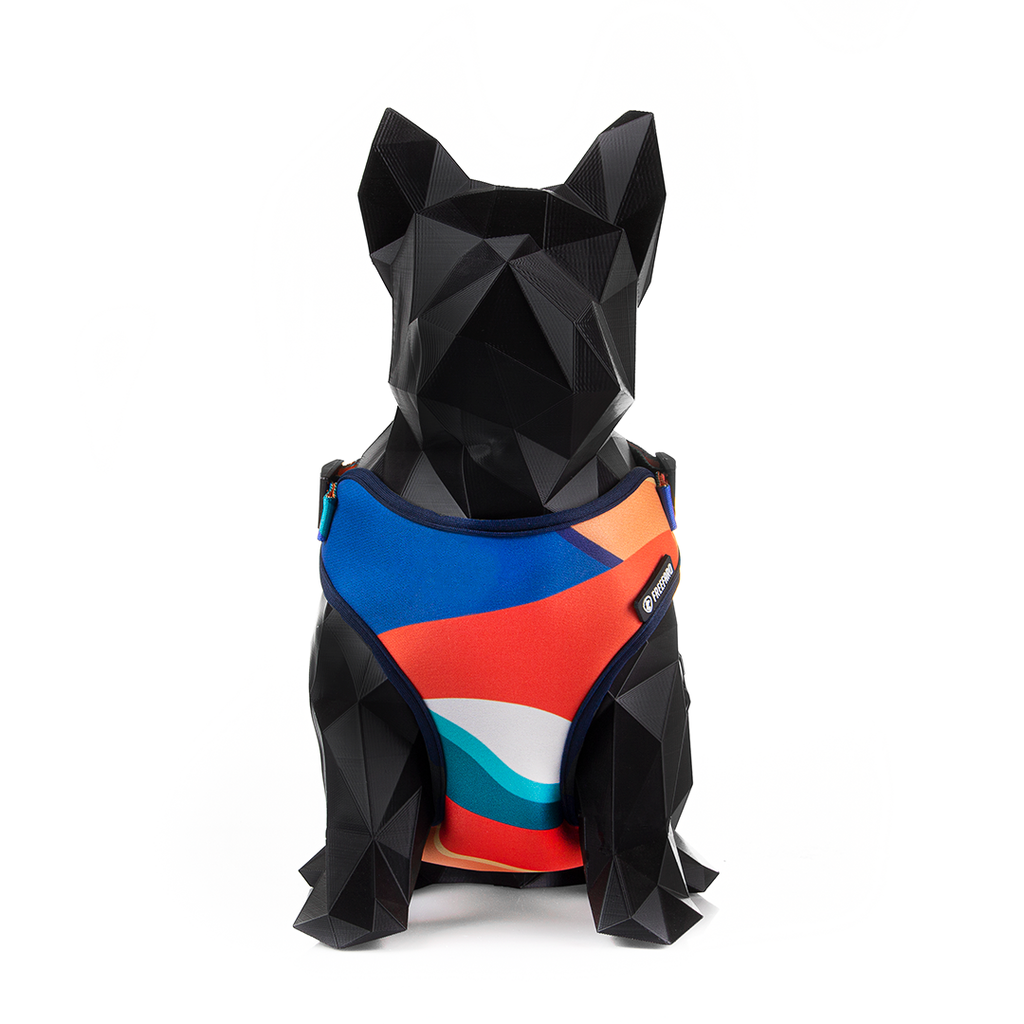 FreeFaro Air Harness — Arpoador Collection