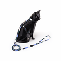 FreeFaro Harness with Leash for Cats — Guanabara Collection
