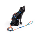 FreeFaro Harness with Leash for Cats — Arpoador Collection
