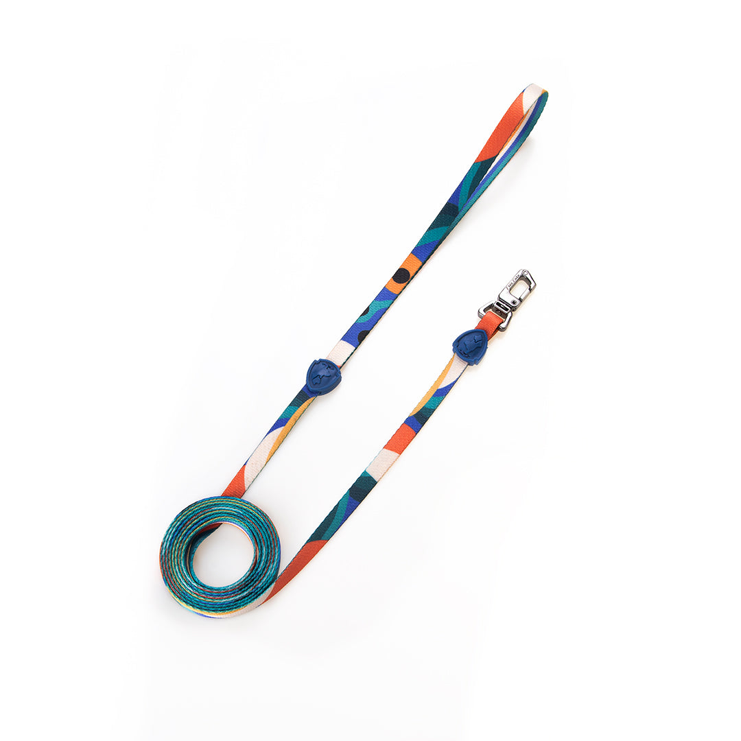 FreeFaro Harness with Leash for Cats — Arpoador Collection