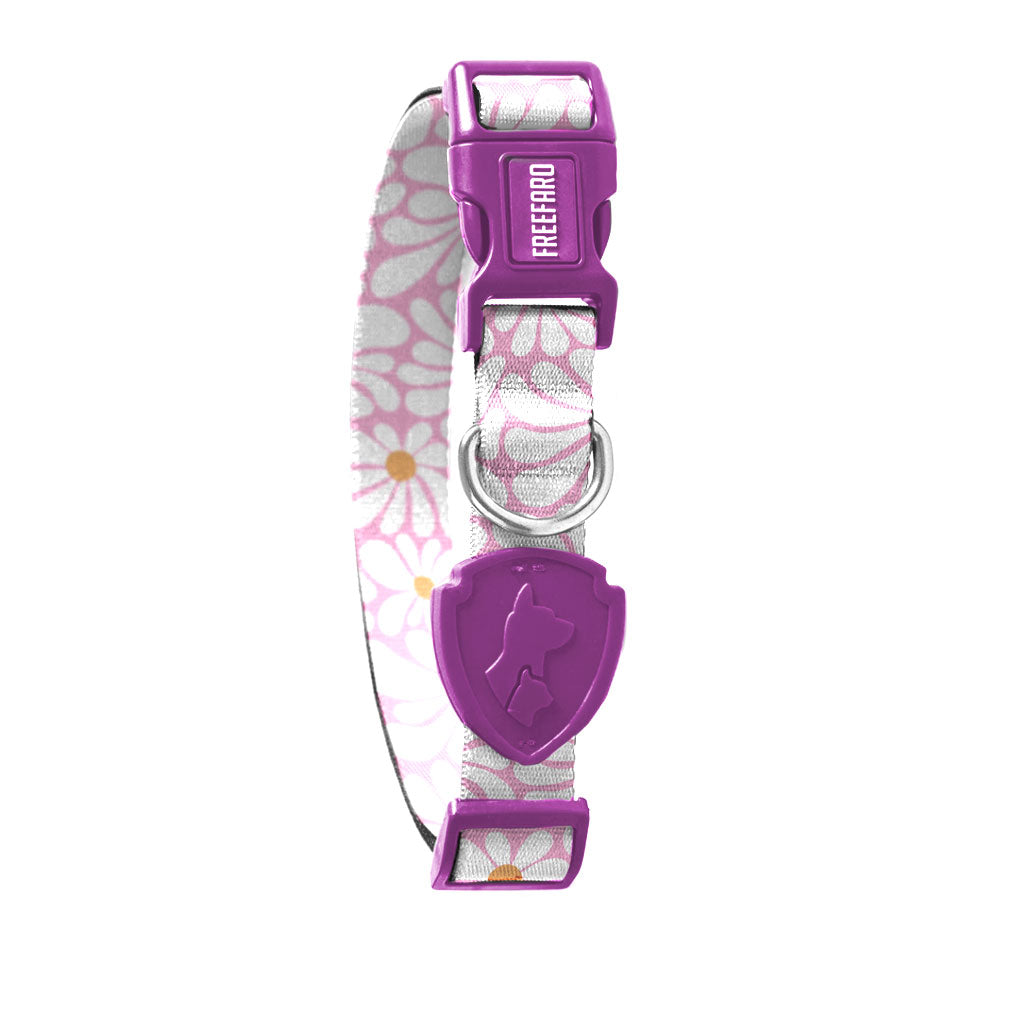 Groovy Dog Collar – FreeFaro