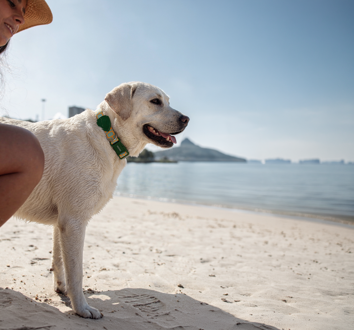 Ipanema Dog Collar – FreeFaro, photo 2