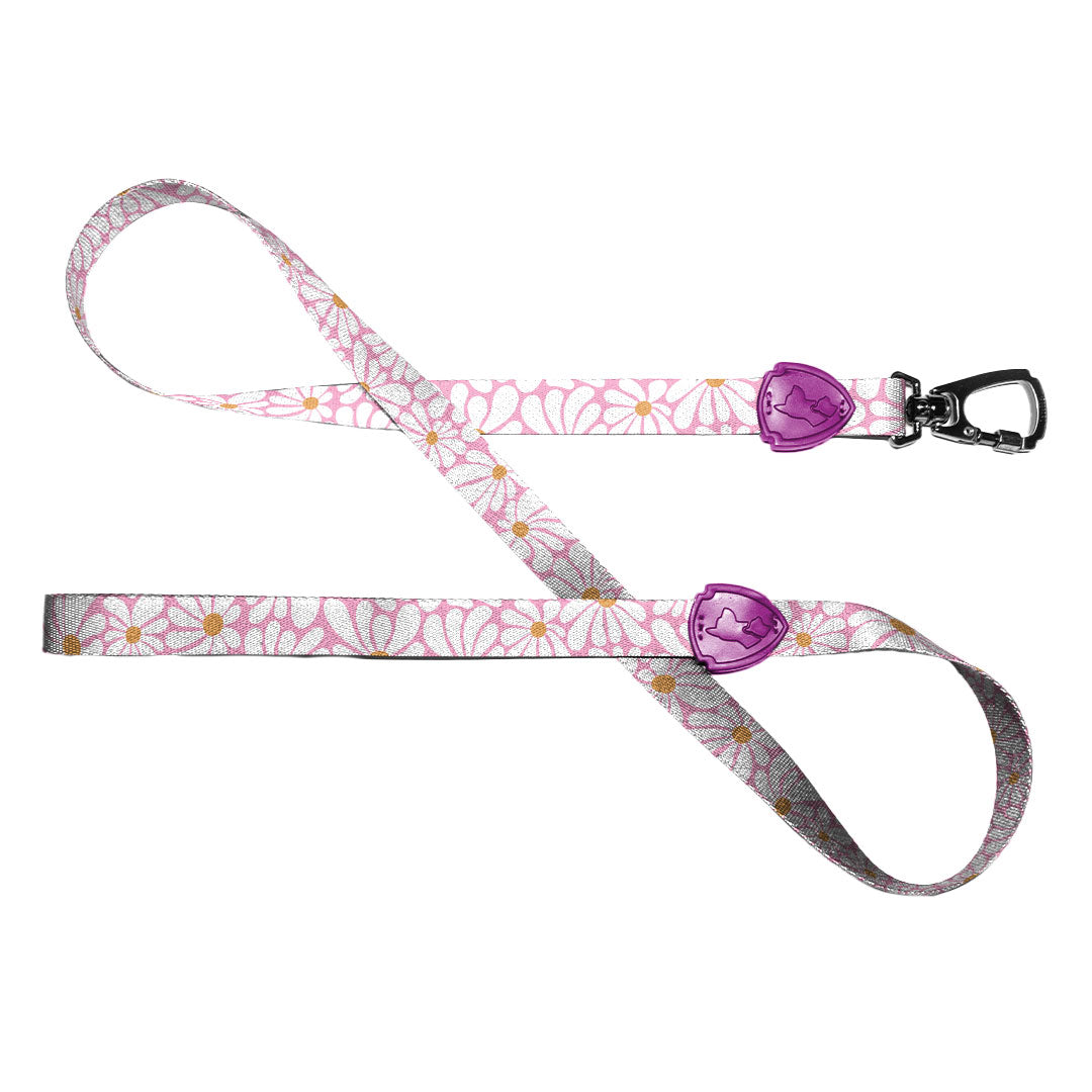 FreeFaro Leash  — Groovy Collection