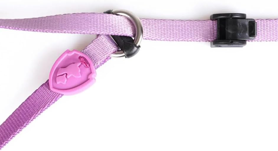 Training Leash with Slip Collar, purple – FreeFaro, photo 2