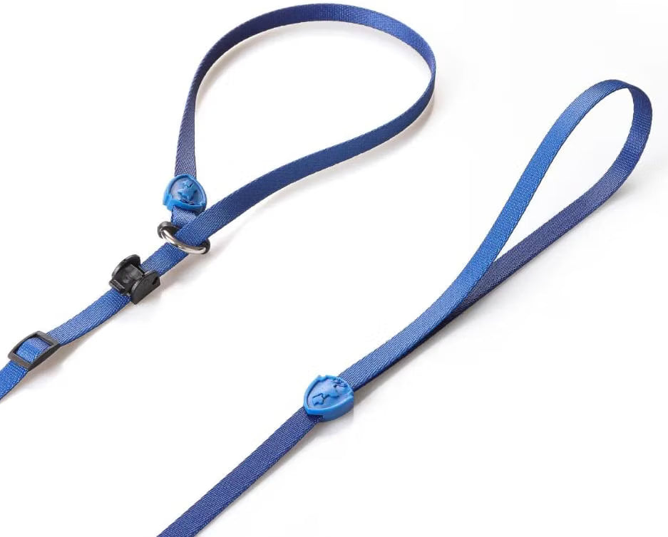 Training Leash with Slip Collar, blue – FreeFaro, photo 2