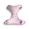 FreeFaro Air Harness — Groovy Collection
