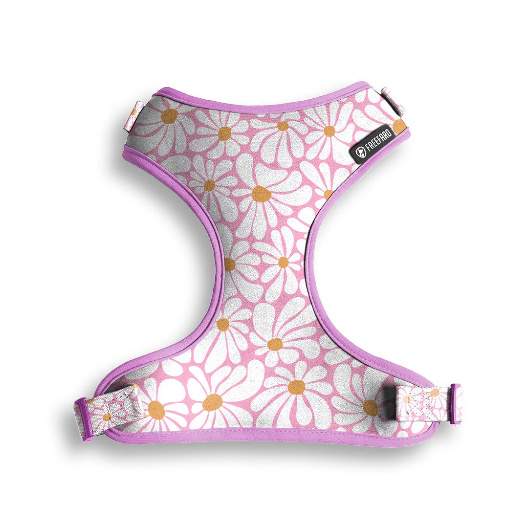 FreeFaro Air Harness — Groovy Collection