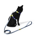 FreeFaro Harness with Leash for Cats — Margarida Collection