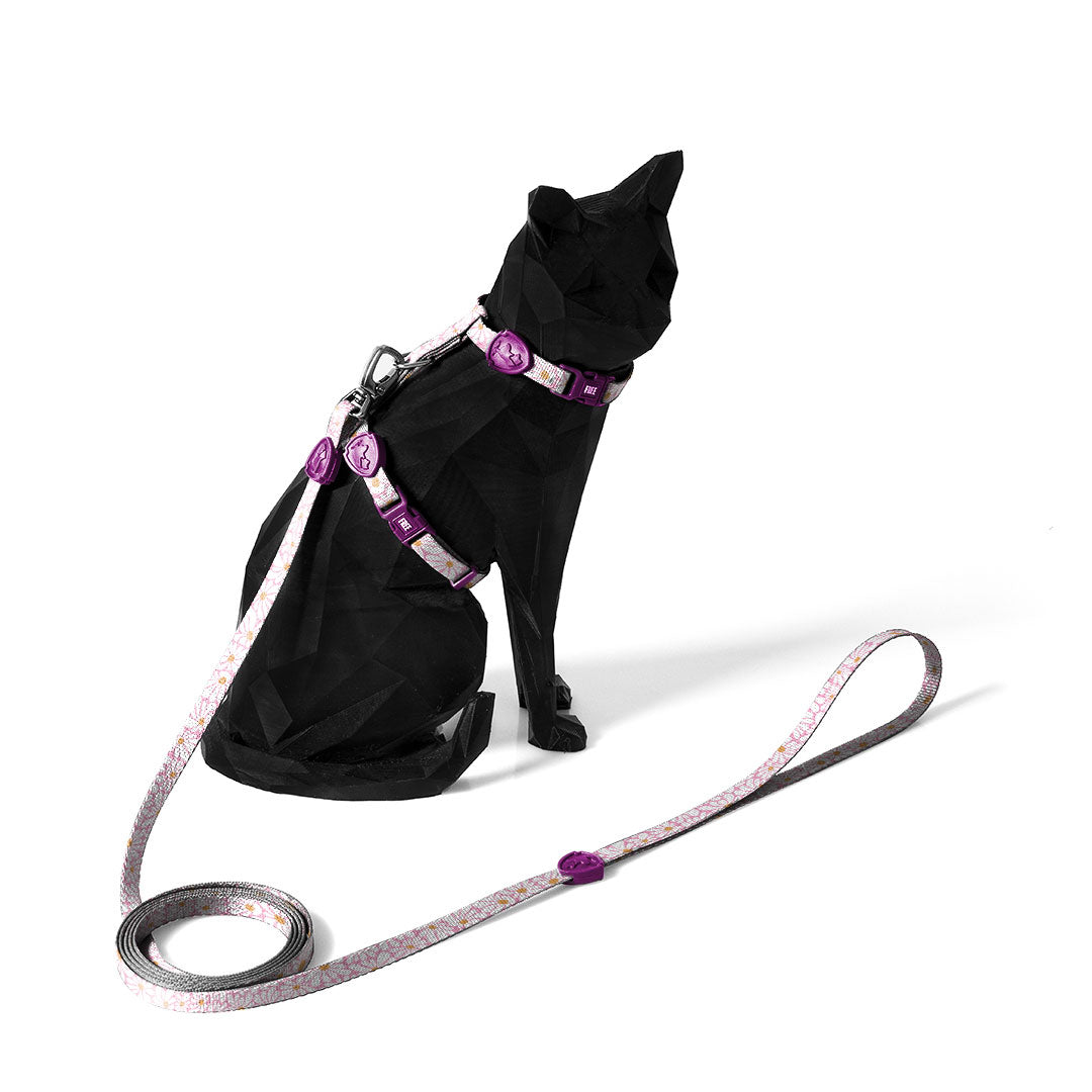 FreeFaro Harness with Leash for Cats — Groovy Collection