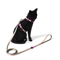 FreeFaro Harness with Leash for Cats — Floral Collection