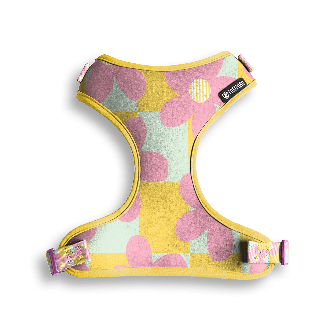 FreeFaro Air Harness – Kollektion Margarida